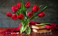 Tranh In Sơn dầu Sách Và Hoa Tulip Đỏ