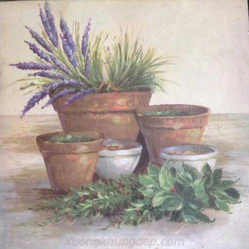 Tranh In Trên Gỗ Những Chậu Hoa Nhỏ Xinh