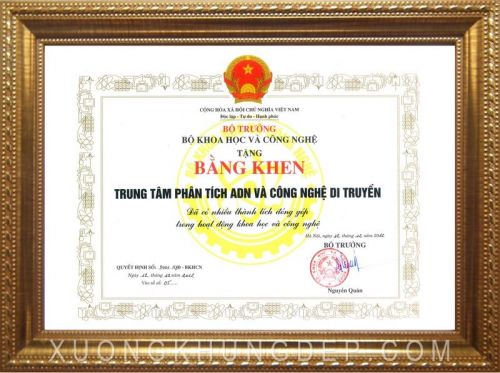 Khung giấy khen màu vàng hoa văn trang trọng