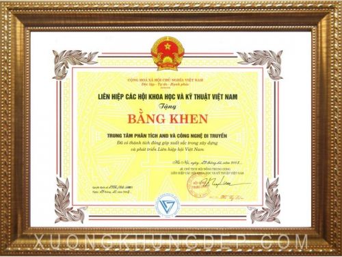 Khung giấy khen màu vàng cao cấp