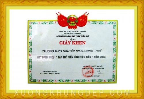 Khung giấy khen màu vàng vân gỗ