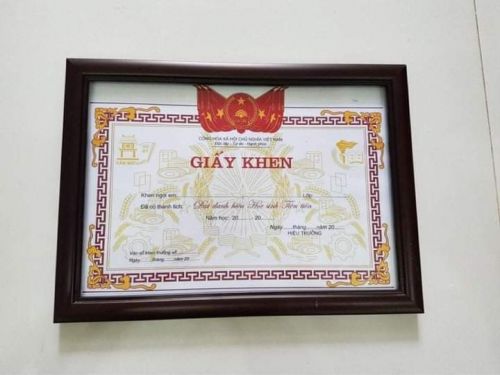 Khung bằng khen ,giấy khen 201 Nâu