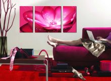 Tranh In Bông Hoa Đỏ Lung Linh Bộ 3 Bức