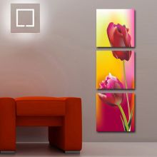 Tranh In Canvas Hoa Tulip Bộ 3 Bức