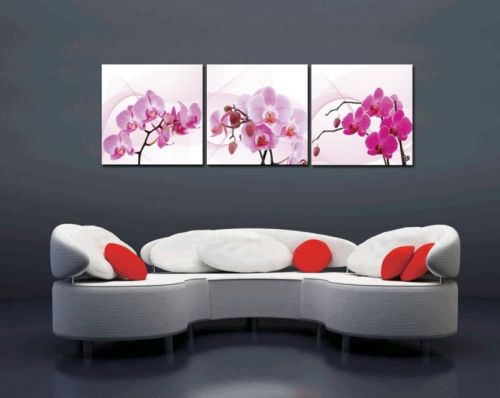 Tranh In Canvas Hoa Lan Hồ Điệp Bộ 3 Bức