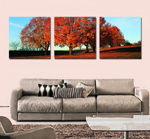 Tranh In Cây Lá Đỏ Dưới Nắng Chiều Bộ 3 Bức