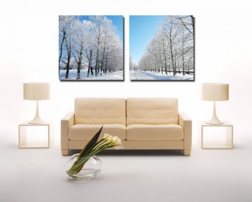 Tranh In Hàng Cây Phủ Đầy Tuyết Bộ 2 Bức