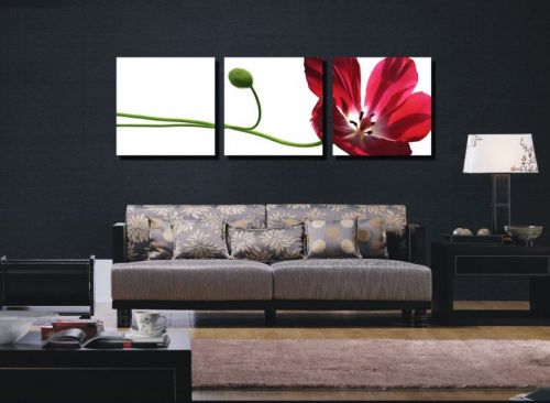 Tranh In Hoa Chuồn Chuồn Màu Đỏ Bộ 3 Bức