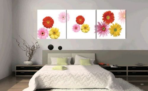 Tranh In Hoa Đồng Tiền Đẹp Bộ 3 Bức