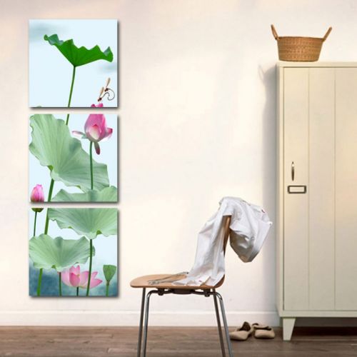 Tranh In Hoa Sen Chuồn Chuồn Bộ 3 Bức