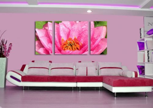 Tranh In Hoa Súng Bộ 3 Bức