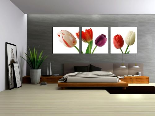 Tranh In Hoa Tulip Trắng Đỏ Tím Bộ 3 Bức
