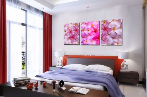 Tranh In Những Bông Hoa Sứ Bộ 3 Bức