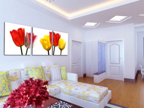 Tranh In Những Bông Hoa Tulip Nền Trắng Bộ 3 Bức