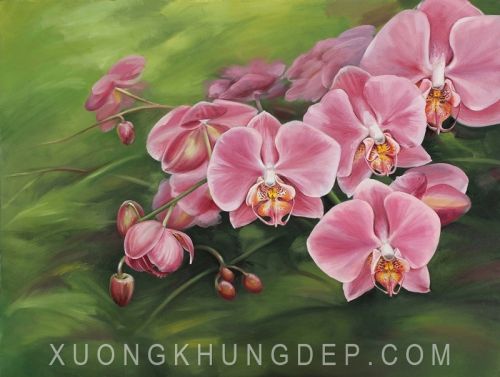 Tranh In Sơn Dầu Bông Lan Tím