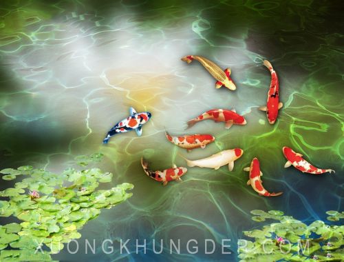 Tranh In Sơn Dầu Hồ Cá Chép Vàng
