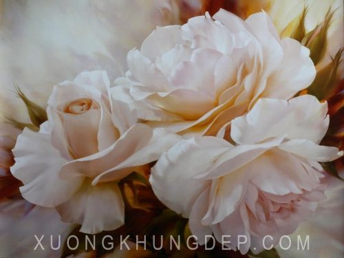 Tranh In Sơn Dầu Hoa Hồng Trắng