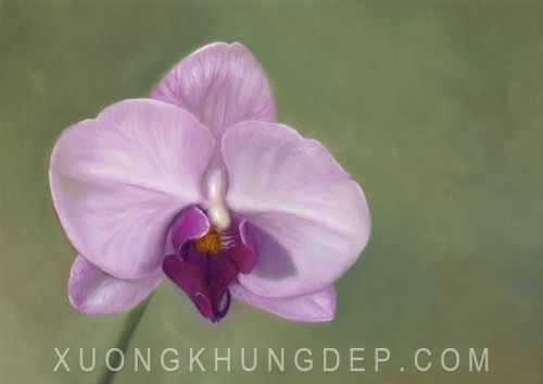 Tranh In Sơn Dầu Hoa Lan Tím Ấn Tượng