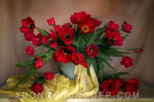 Tranh In Sơn Dầu Hoa Tulip Với Chiếc Khăn Vàng