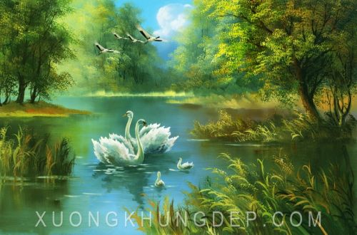 Tranh In Sơn Dầu Thiên Nga Và Những Chú Hạc