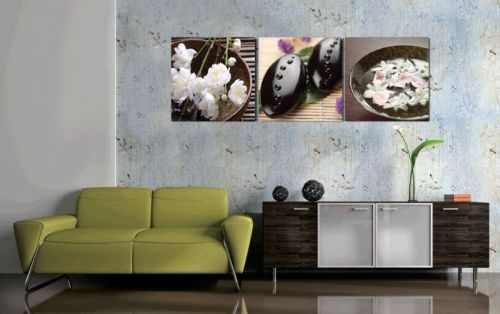 Tranh In Spa Hoa Lan Bộ 3 Bức